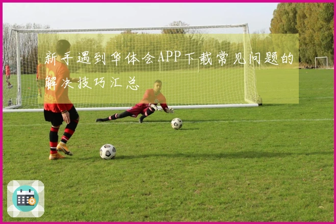 新手遇到华体会APP下载常见问题的解决技巧汇总